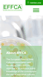 Mobile Screenshot of effca.org