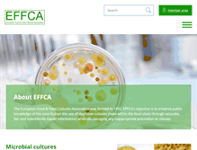 Tablet Screenshot of effca.org